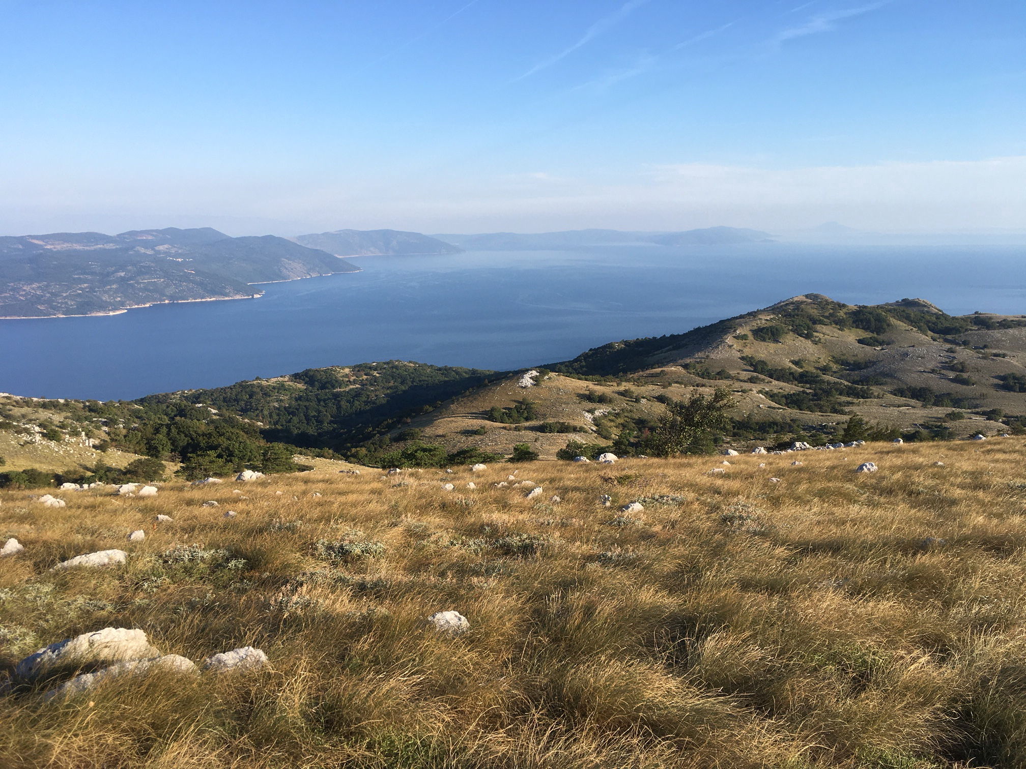 Aussicht1