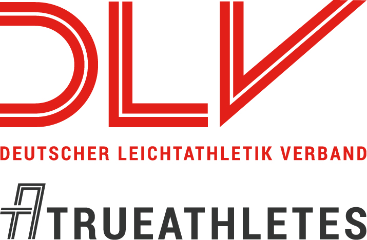 DLV Logo