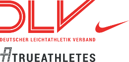 logo dlv tandem 260