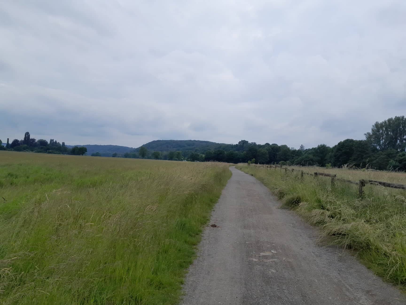 287377959 378173117711758 93540776593808150 n