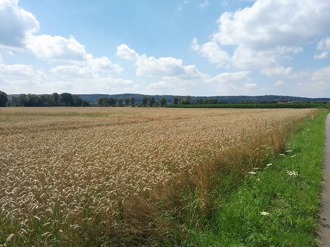 Tag6 5