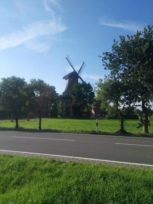 Tag6 6