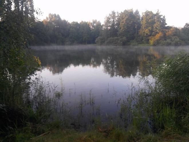 Tag6 9