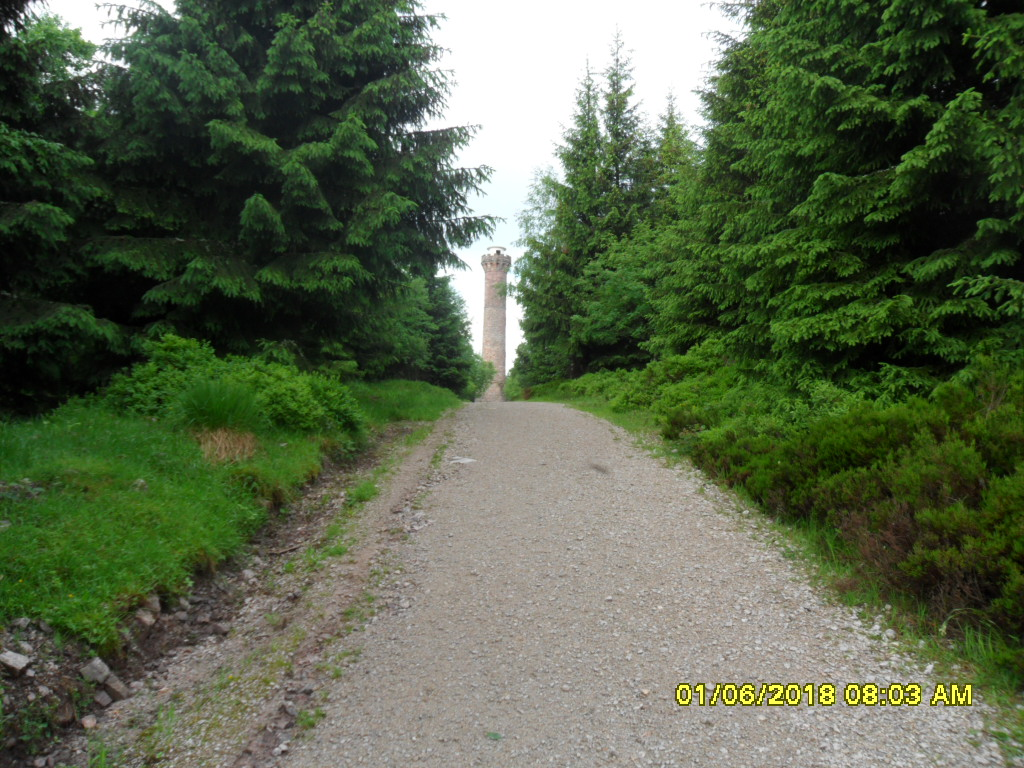 Bild1b