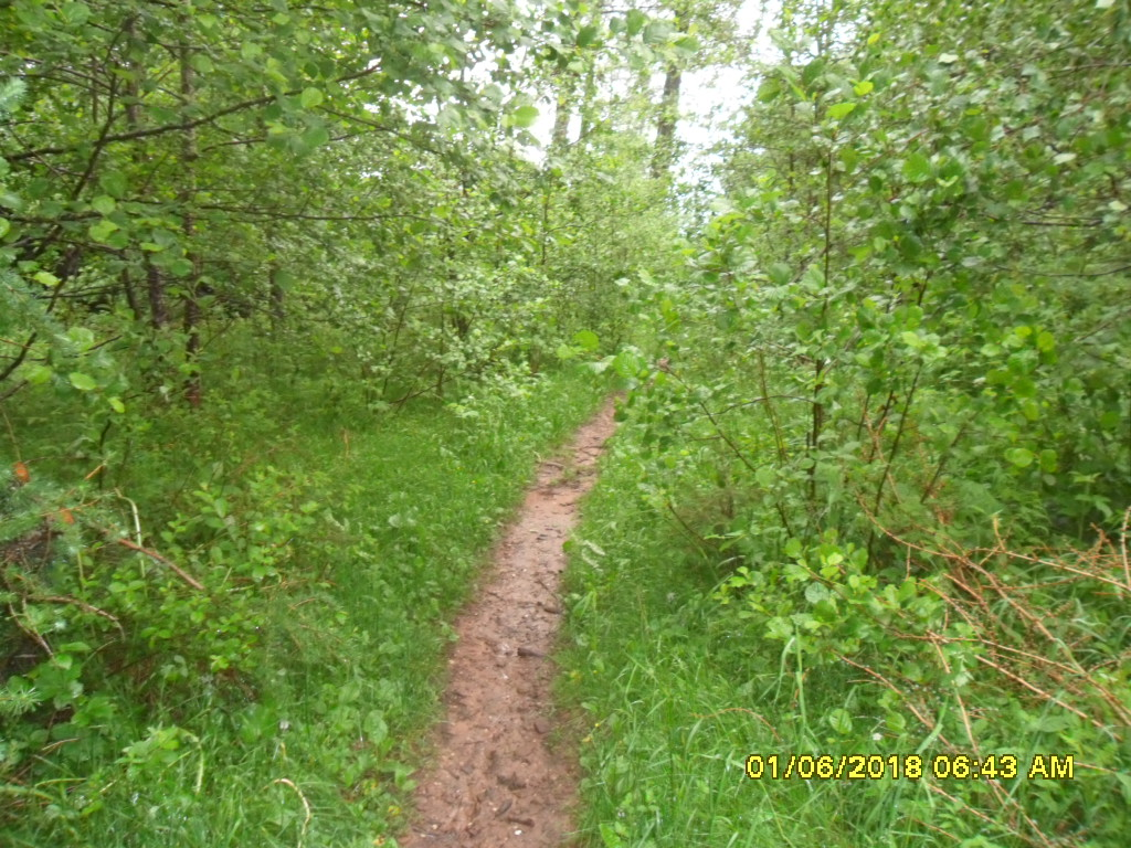 Bild5