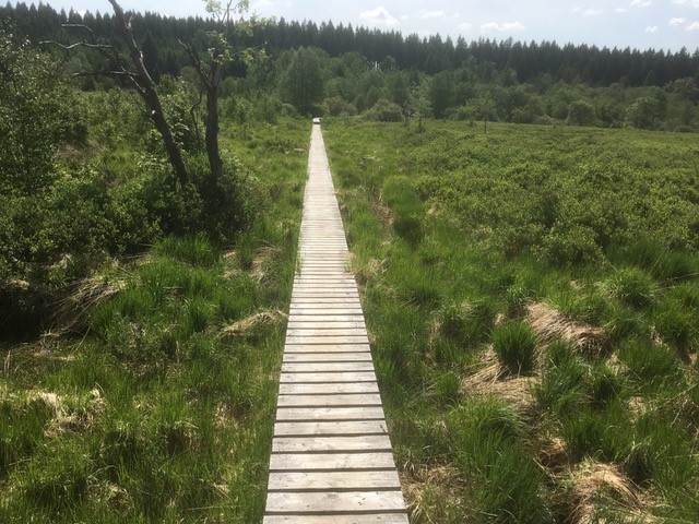 HoherVenn5