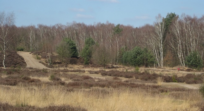 wahner heide
