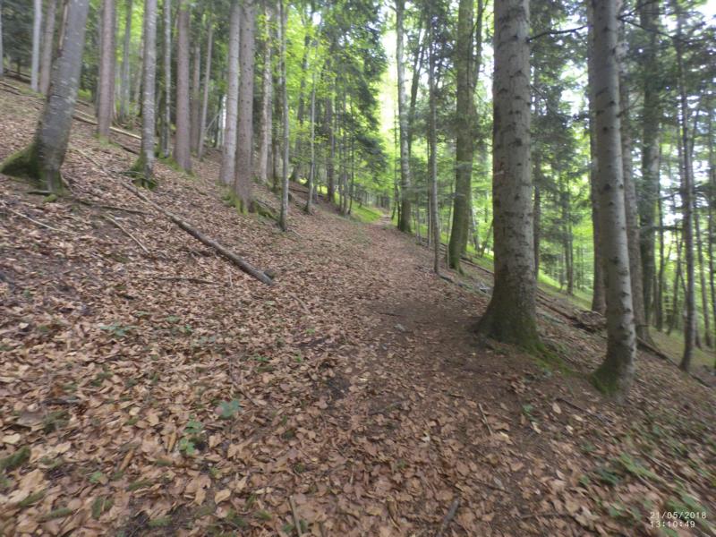 10 Richtung Hof