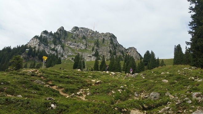 Ber13