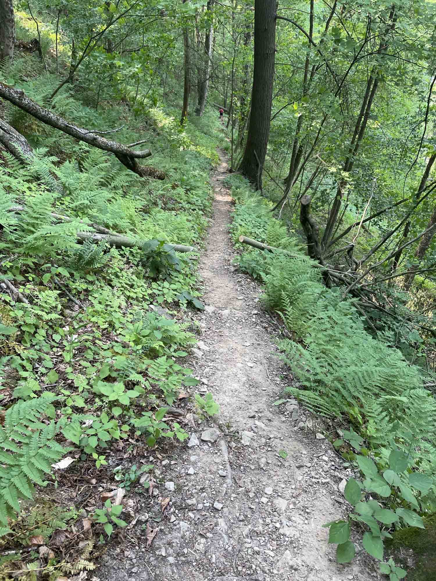 Image6.jpeg
