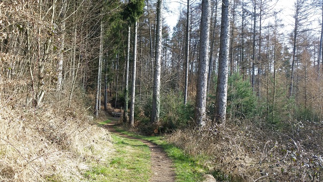 Strecke 1